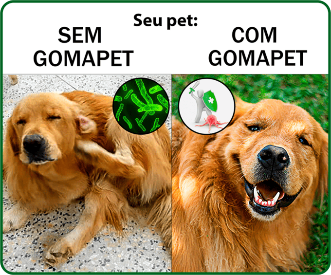 Com e sem GomaPet